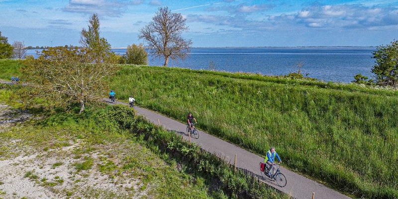 Cyclists in a green landscape