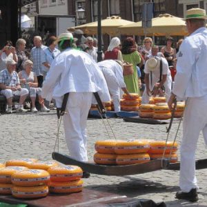 Cheese market in Alkmaar