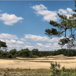 National Park Hoge Veluwe