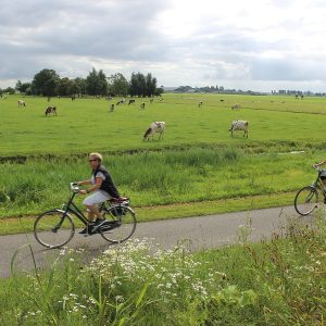Cyclists in the country side