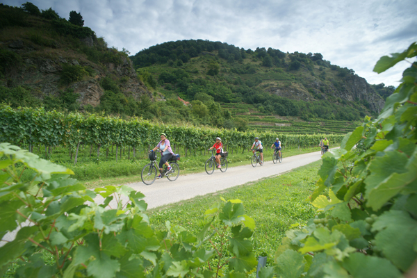 Four people riding their bikes in the wachau