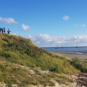 Guests in the dunes in front of the wadden sea