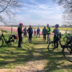 A group of cyclists in the shade by a tulip field