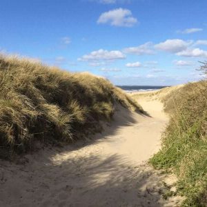 Dunes on the Zeeland-Route