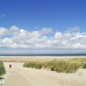 The dunes of Texel