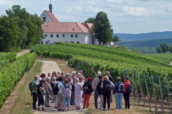 Eschen Vineyard