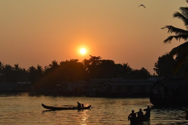 alleppey sunset