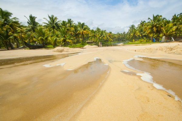 mararikulam sandy beach alappuzha kerala