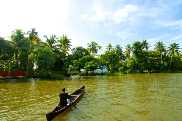 landscape of alleppey backwaters kerala